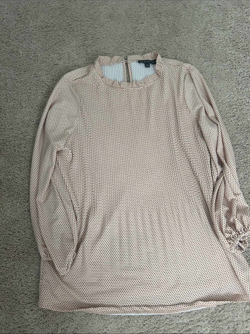 Adrianna Papell Blush Pink Long Sleeve Dot Print Top